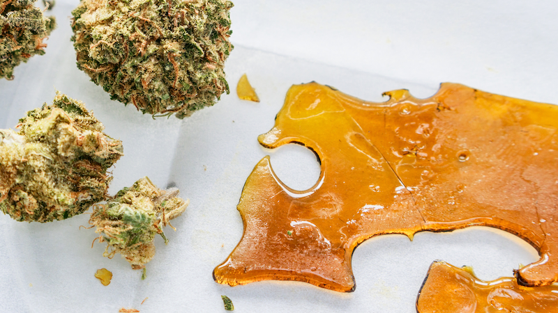 Cannabis flower bud and shatter concentrate